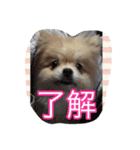 ウル君の日常③（個別スタンプ：14）