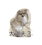 ウル君の日常③（個別スタンプ：15）