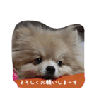 ウル君の日常③（個別スタンプ：16）