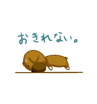 くまのようないぬ（個別スタンプ：8）