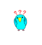 青いマメルリハインコ（個別スタンプ：3）