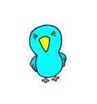 青いマメルリハインコ（個別スタンプ：13）