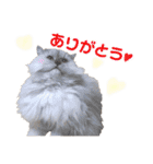 ムギィさん（個別スタンプ：4）