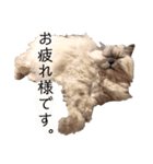 ムギィさん（個別スタンプ：5）