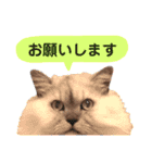 ムギィさん（個別スタンプ：7）