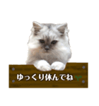 ムギィさん（個別スタンプ：12）