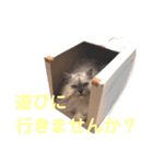 ムギィさん（個別スタンプ：13）