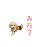 可愛いといぷースタンプ（個別スタンプ：5）