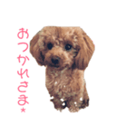 mayさまスタンプ2（個別スタンプ：3）