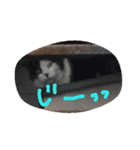 Kawaii☆Cat☆（個別スタンプ：2）