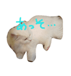 Kawaii☆Cat☆（個別スタンプ：15）