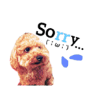 中野犬（個別スタンプ：2）