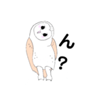 ふくろう＊かわいい＊（個別スタンプ：1）