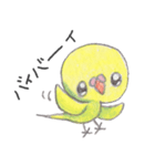 ミニミニインコちゃん（個別スタンプ：4）