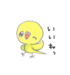 ミニミニインコちゃん（個別スタンプ：10）