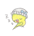 ミニミニインコちゃん（個別スタンプ：11）