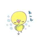 ミニミニインコちゃん（個別スタンプ：12）