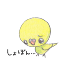 ミニミニインコちゃん（個別スタンプ：15）