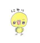 ミニミニインコちゃん（個別スタンプ：16）
