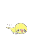 ミニミニインコちゃん（個別スタンプ：31）