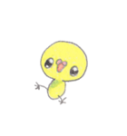 ミニミニインコちゃん（個別スタンプ：37）