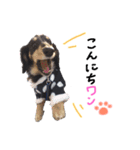 ジャッキースタンプ（個別スタンプ：2）