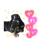 ジャッキースタンプ（個別スタンプ：8）