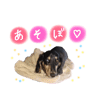 ジャッキースタンプ（個別スタンプ：14）