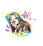 居眠り犬セピ子（個別スタンプ：5）