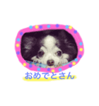 居眠り犬セピ子（個別スタンプ：7）