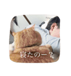 私の猫たち2（個別スタンプ：6）