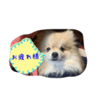 ウル君日常②（個別スタンプ：2）