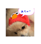 ウル君日常②（個別スタンプ：5）