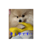 ウル君日常②（個別スタンプ：9）