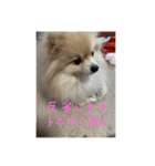 ウル君日常②（個別スタンプ：10）