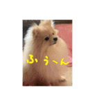ウル君日常②（個別スタンプ：11）