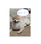 ウル君日常②（個別スタンプ：14）