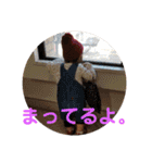 きりりっ！（個別スタンプ：8）