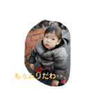 きりりっ！（個別スタンプ：11）