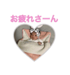 兄弟シリーズ（個別スタンプ：12）