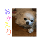 ♡ハルくん♡（個別スタンプ：7）