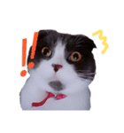 ひげまるくんとれおんちゃん（個別スタンプ：1）