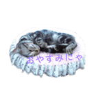 ひげまるくんとれおんちゃん（個別スタンプ：7）