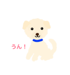 モコモコ犬 ぢょん（個別スタンプ：3）