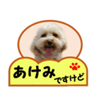 犬の毎日8（個別スタンプ：2）