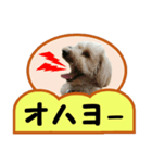 犬の毎日8（個別スタンプ：4）