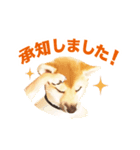 「こてつ」0歳（個別スタンプ：2）