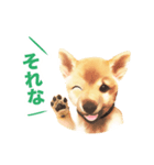 「こてつ」0歳（個別スタンプ：7）