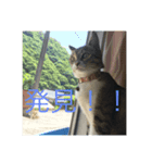 西川家のペット（個別スタンプ：6）