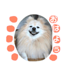 しょう♡なっち（個別スタンプ：1）